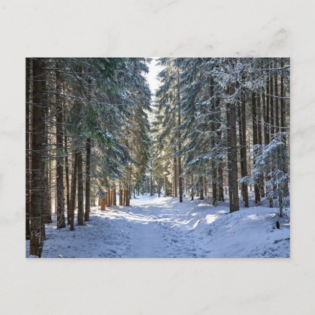 Ice & Snow | Tatra Mountains, Poland Postcard (Front)