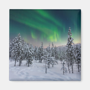 Ice & Snow   Winter Landscape, Finland Magnet