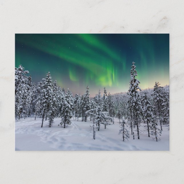 Ice & Snow | Winter Landscape, Finland Postcard (Front)