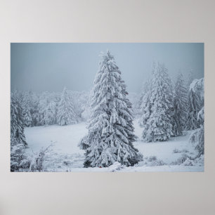 Ice & Snow   Woodland, Swiss Alps Poster