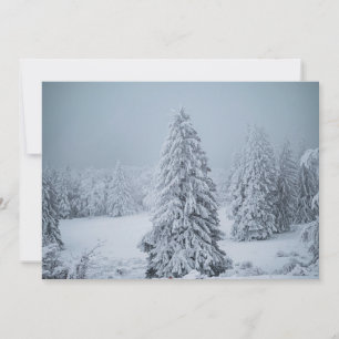 Ice & Snow   Woodland, Swiss Alps Thank You Card