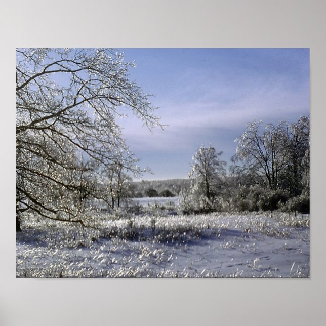 Ice Storm Glazes A Forest Poster (Front)