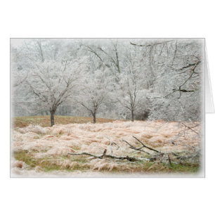 Ice Storm Rural Tennessee - Photograph