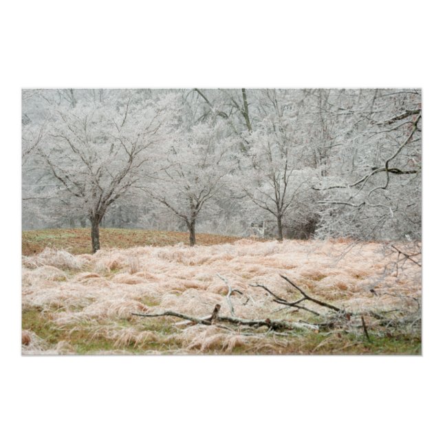 Ice Storm Rural Tennessee - Scenic Photograph Poster (Front)