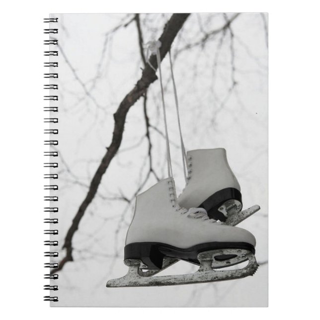 Ice Wonder Notebook (Front)