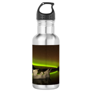 Iceberg Aurora 532 Ml Water Bottle
