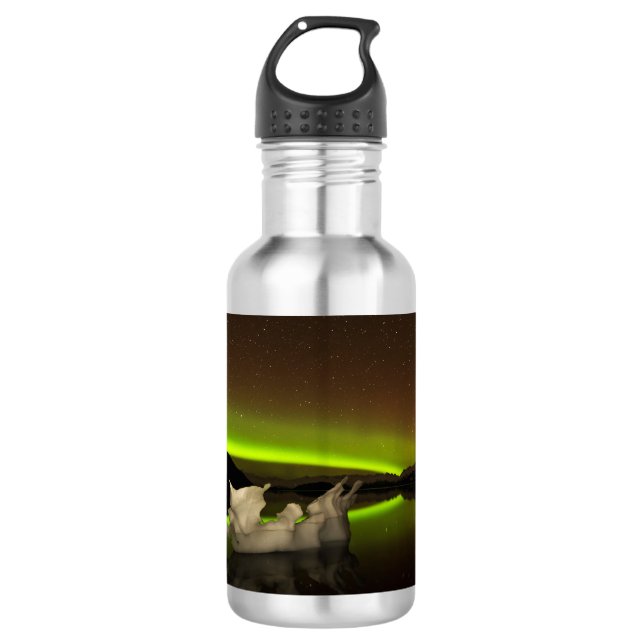 Iceberg Aurora 532 Ml Water Bottle (Front)