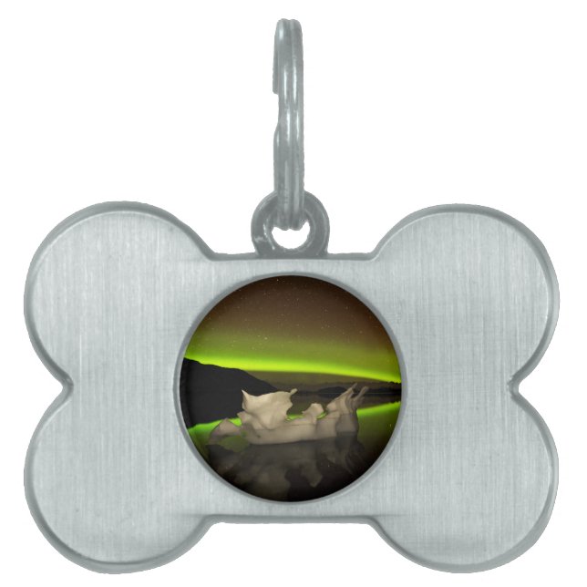 Iceberg Aurora Pet ID Tag (Front)