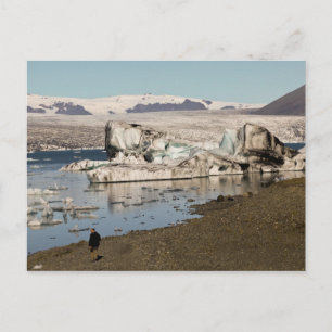 Iceberg formations postcard