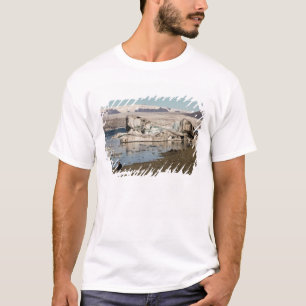Iceberg formations T-Shirt