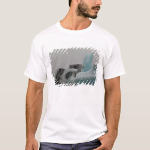 Iceberg formations T-Shirt