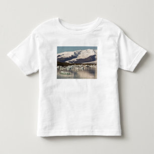 Iceberg formations toddler T-Shirt