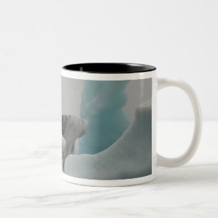 Iceberg formations Two-Tone coffee mug