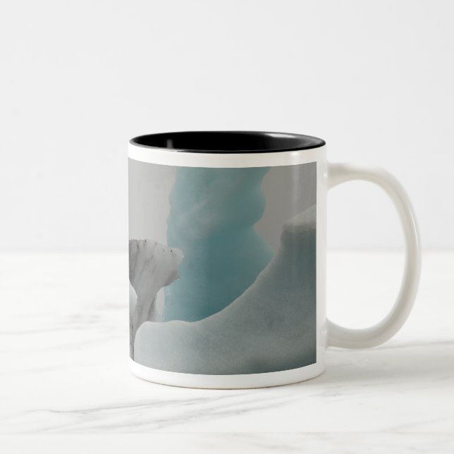 Iceberg formations Two-Tone coffee mug (Right)