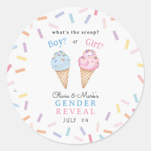 Icecream Gender Reveal Classic Round Sticker