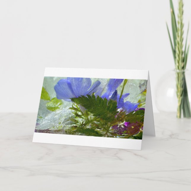 Iced Blossoms,  Card (Front)