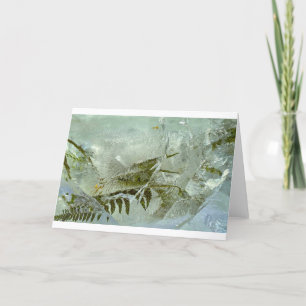 Iced Blossoms, Card