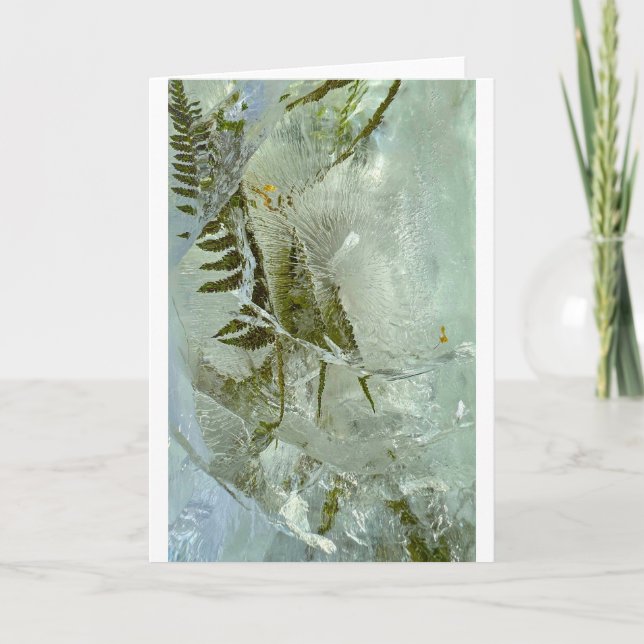 Iced Blossoms,  Card (Front)