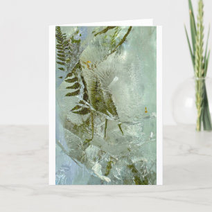 Iced Blossoms,  Card