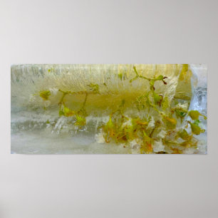 Iced Blossoms, Poster