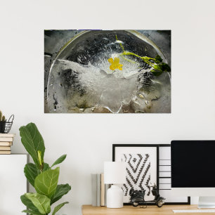Iced Blossoms, Poster