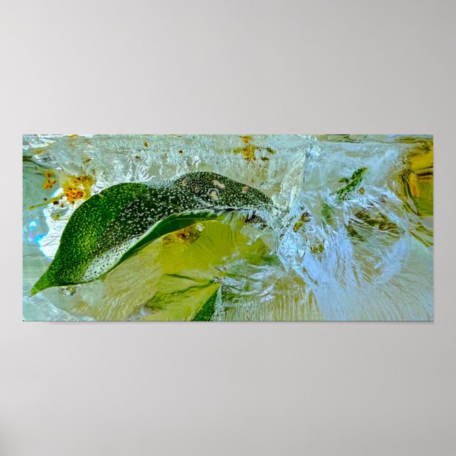 Iced Blossoms,  Poster (Front)