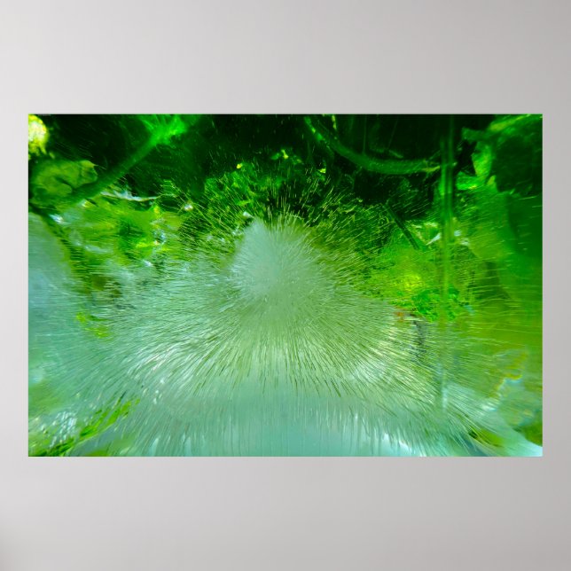 Iced Blossoms, Poster (Front)