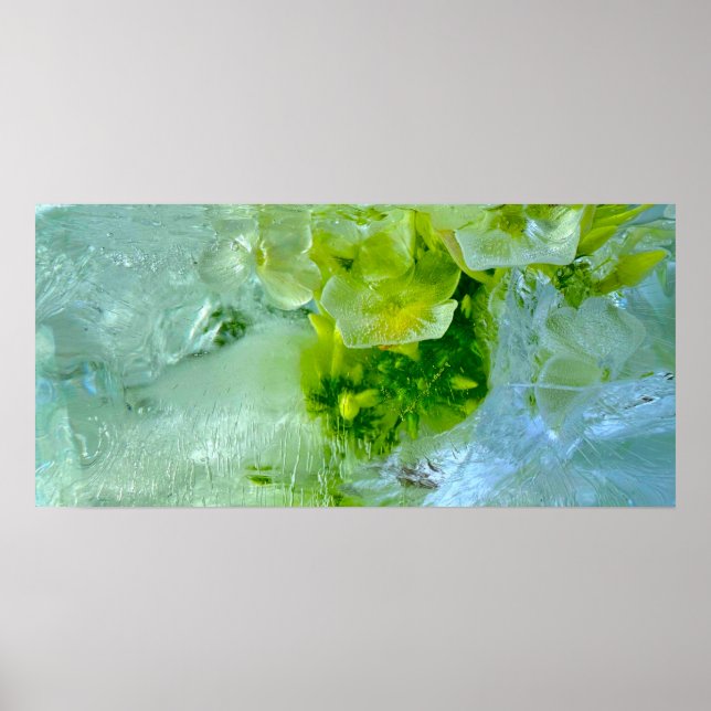 Iced Blossoms,  Poster (Front)