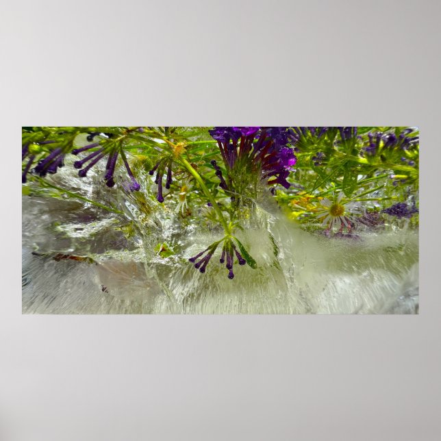 Iced Blossoms,  Poster (Front)
