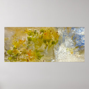 Iced Blossoms Poster