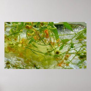 Iced Blossoms, Poster