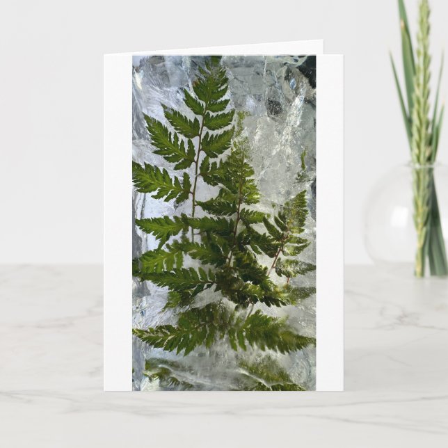 Iced Ferns, Card (Front)