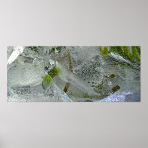 Iced Ivy, Poster