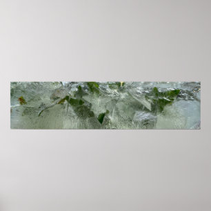 Iced Ivy, Poster