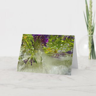 Iced Lilies, Card