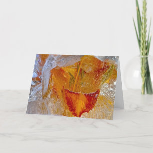 Iced Lilies, Card
