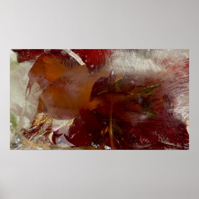 Iced Lilies, Poster (Front)