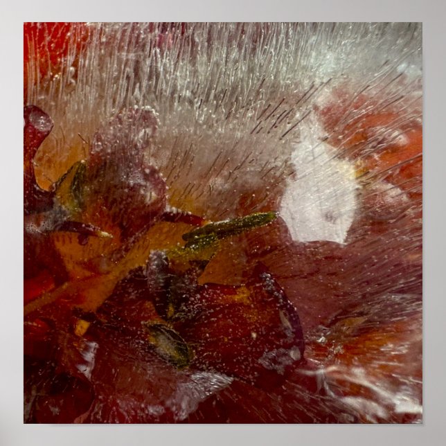 Iced Lilies,  Poster (Front)