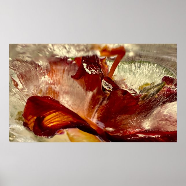 Iced Lilies, Poster (Front)