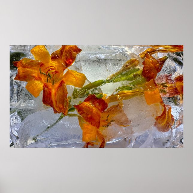 Iced Lilies,  Poster (Front)