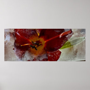 Iced Lily, Poster