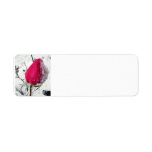 Iced Rose Return Address Label