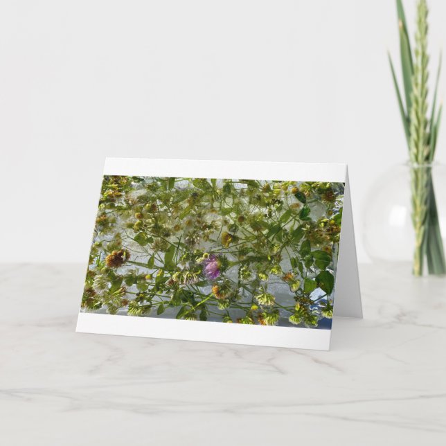 Iced Thistle & Clover, Card (Front)