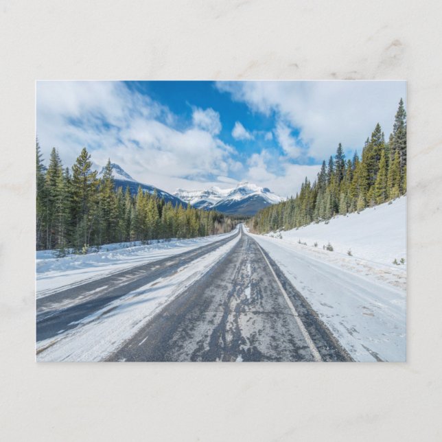 Icefields Parkway Postcard (Front)