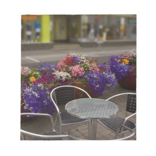 Iceland, Akureyri. View of the main business Notepad