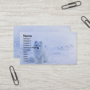 Iceland Arctic Fox Business Card