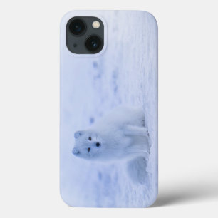 Iceland Arctic Fox iPhone 13 Case