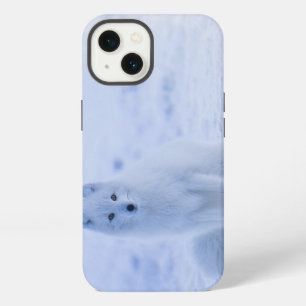 Iceland Arctic Fox iPhone Case