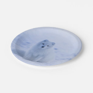 Iceland Arctic Fox Paper Plate