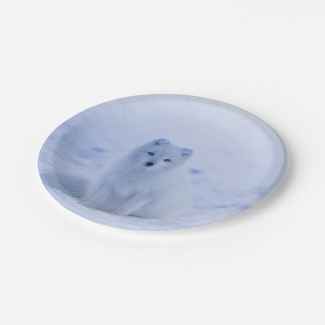 Iceland Arctic Fox Paper Plate (Angled)